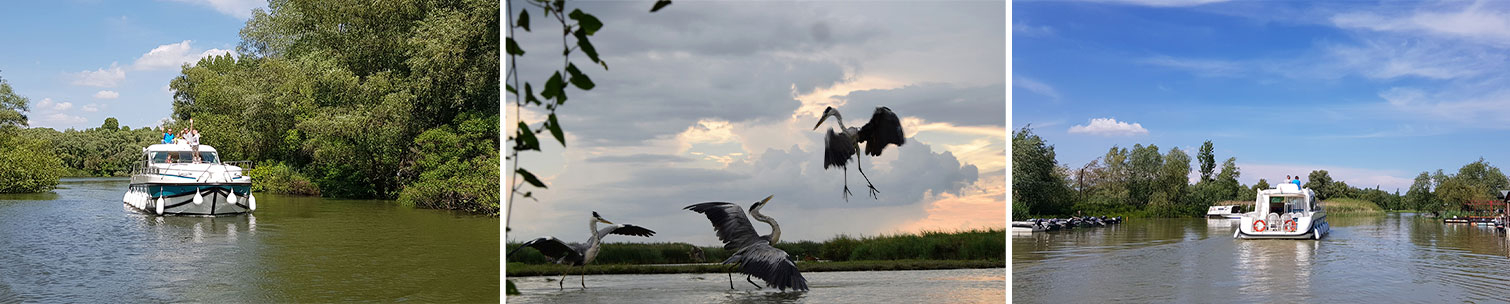 Riverboats in Hungary