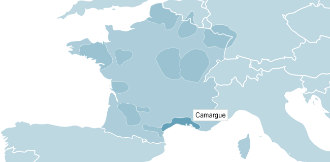 Map of Camargue